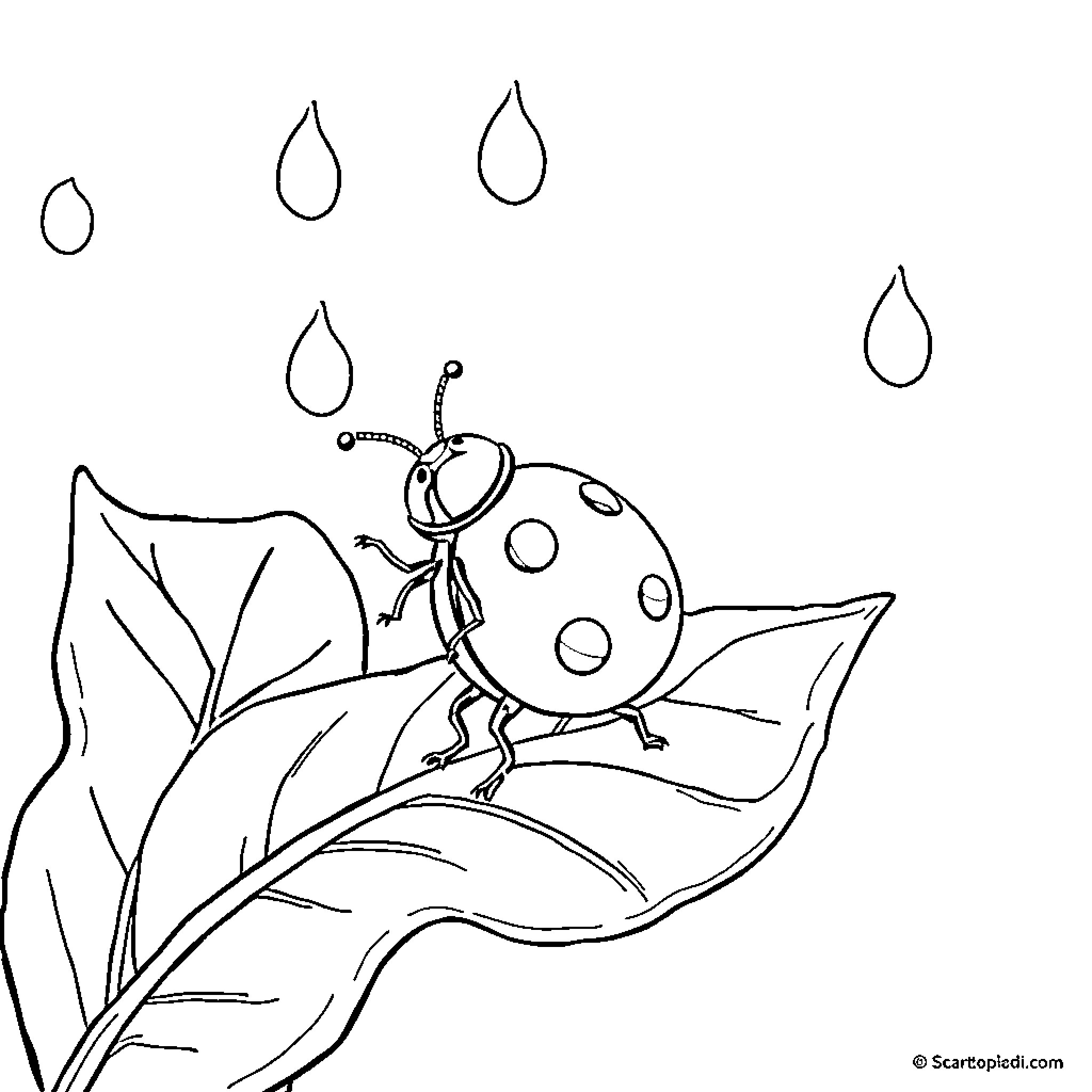 Ladybug resting on a leaf in the rain Coloring Page (free black-and-white line drawing printable PDF for all, from beginners to advanced learners, including children, teens, adults, and seniors)