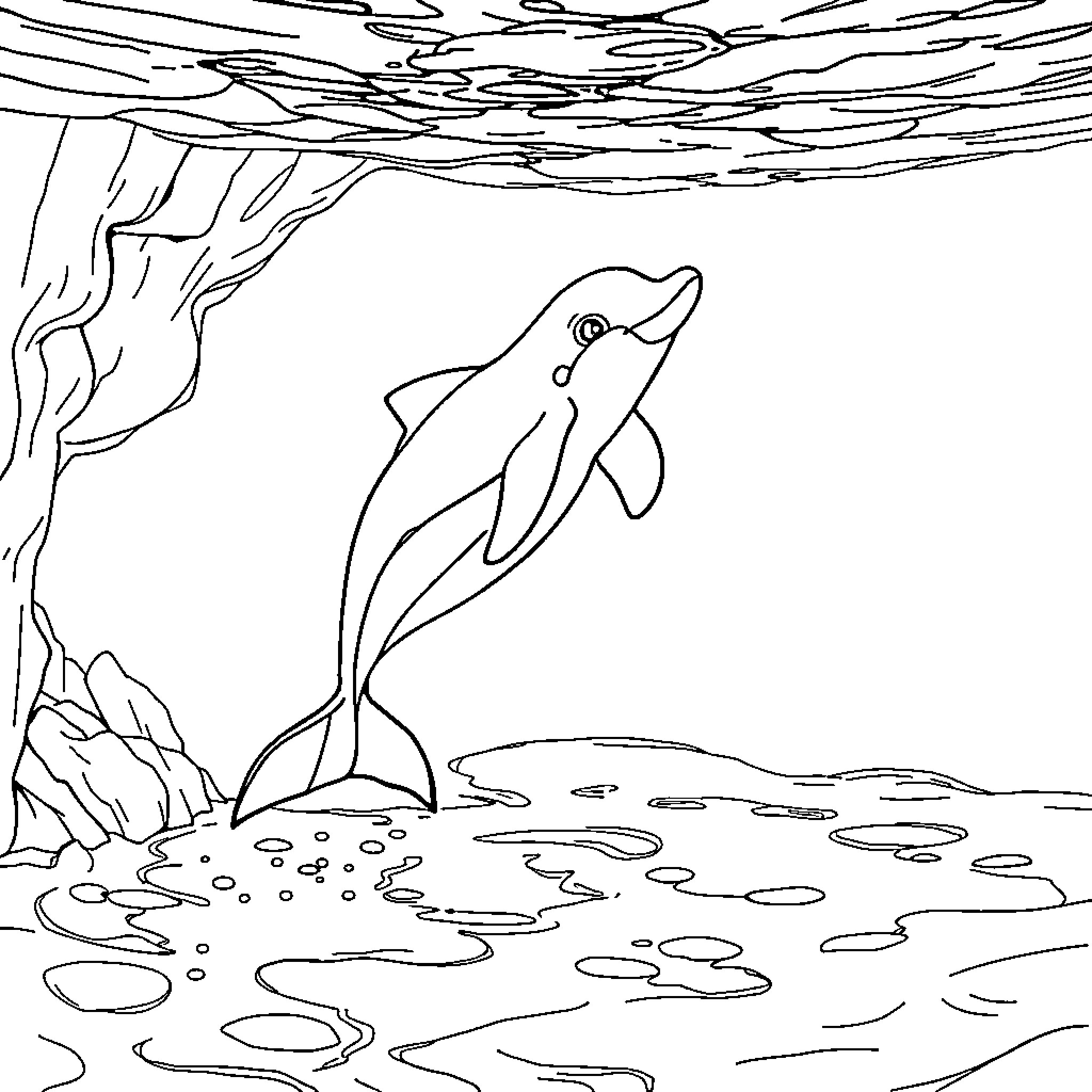 Dolphin swimming playfully in underwater scene Coloring Page (free black-and-white line drawing printable PDF for all, from beginners to advanced learners, including children, teens, adults, and seniors)