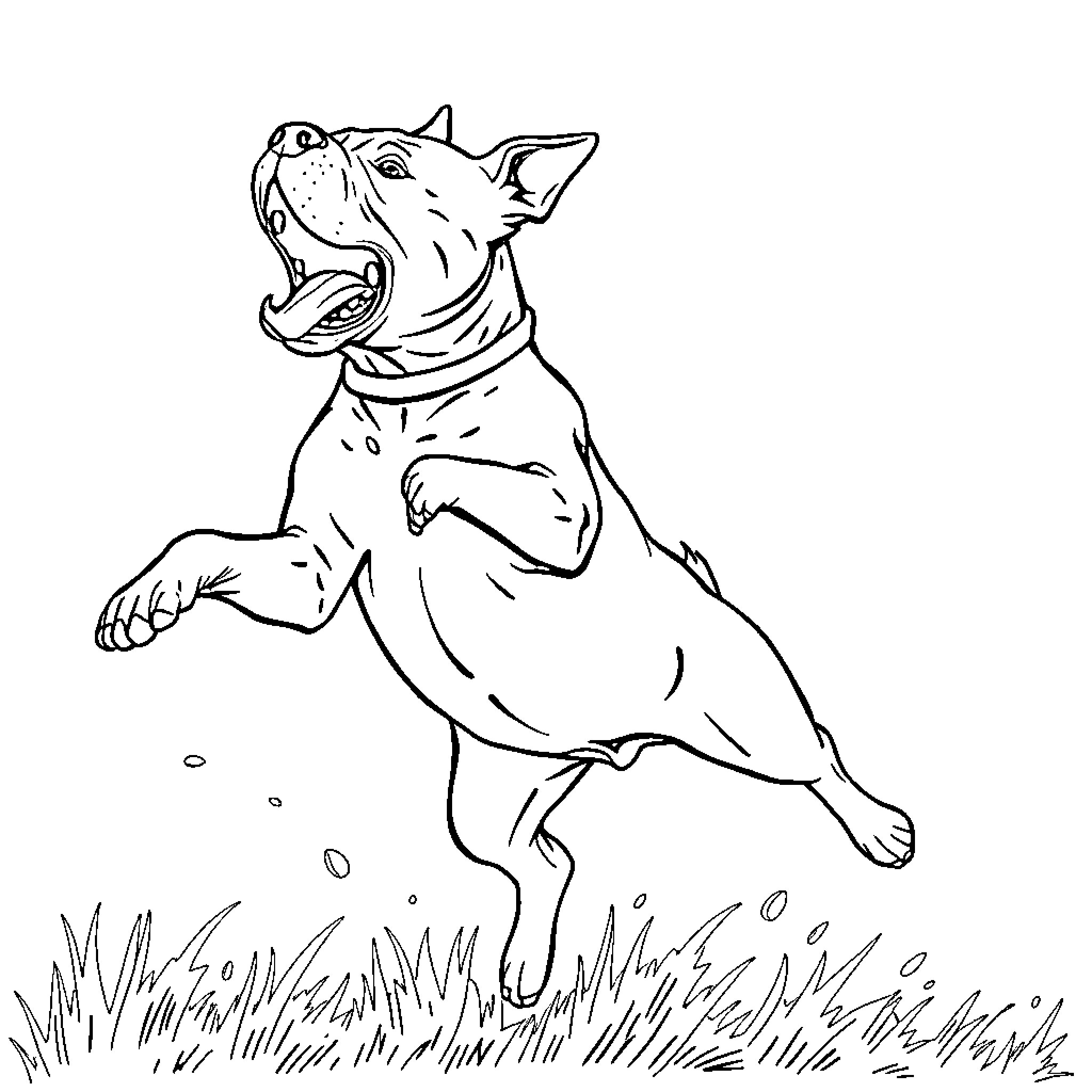 Pit Bull excitedly running in a field Coloring Page (free black-and-white line drawing printable PDF for all, from beginners to advanced learners, including children, teens, adults, and seniors)