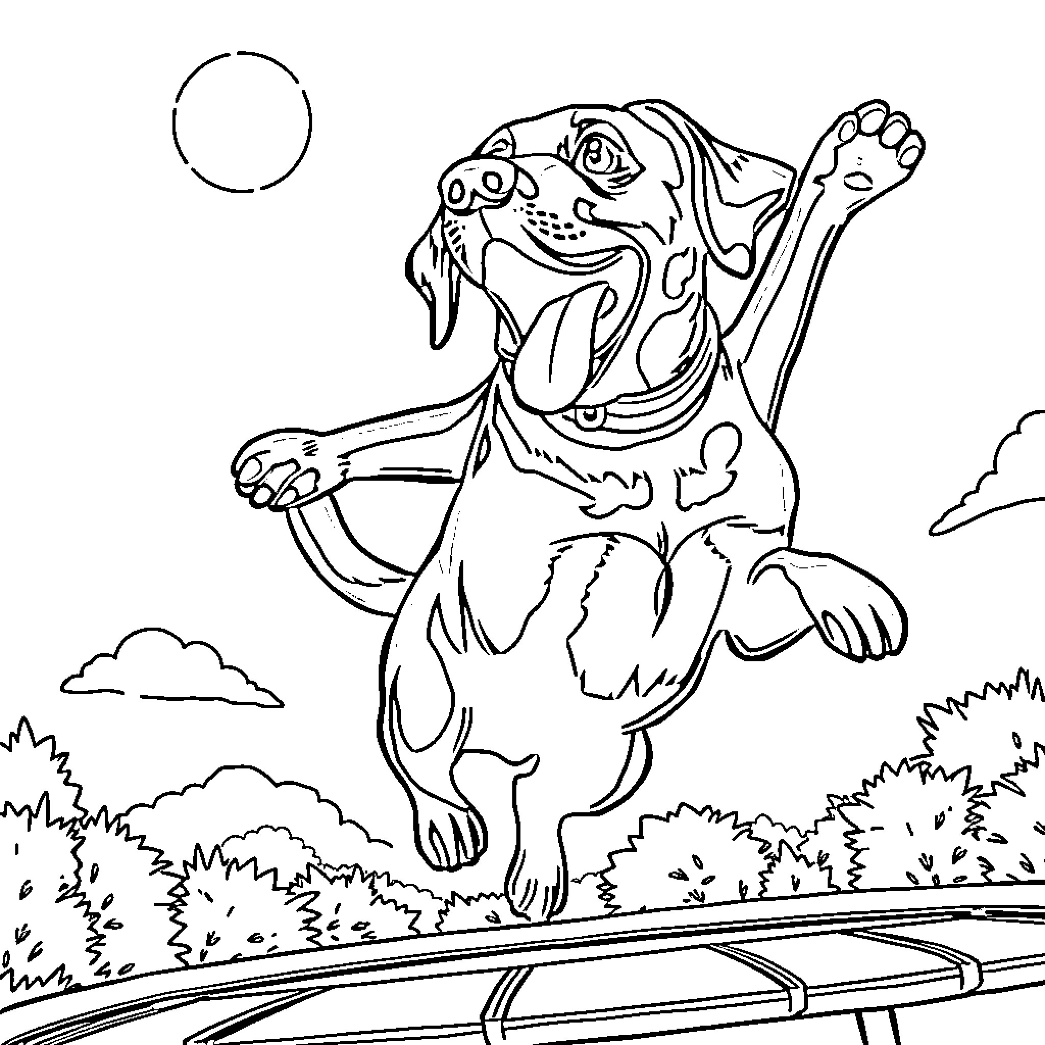 Lab animal leaping joyfully on road Coloring Page (free black-and-white line drawing printable PDF for all, from beginners to advanced learners, including children, teens, adults, and seniors)