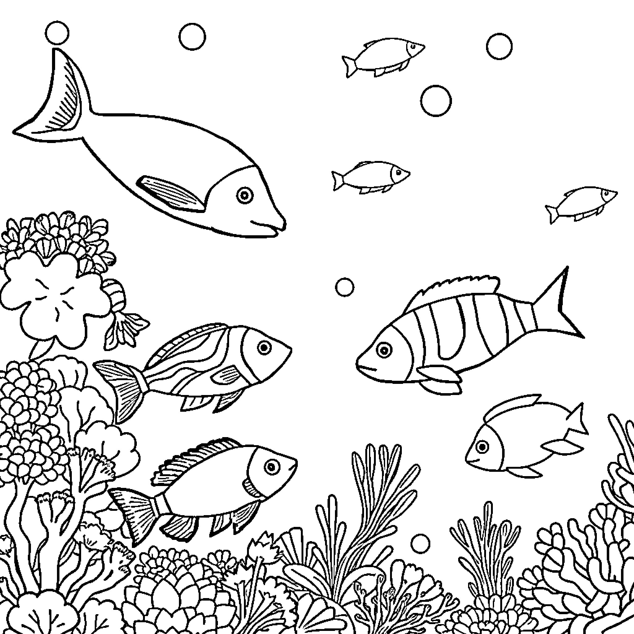 Sea Animals in Coral Reef Underwater Scene Coloring Page (free black-and-white line drawing printable PDF for all, from beginners to advanced learners, including children, teens, adults, and seniors)