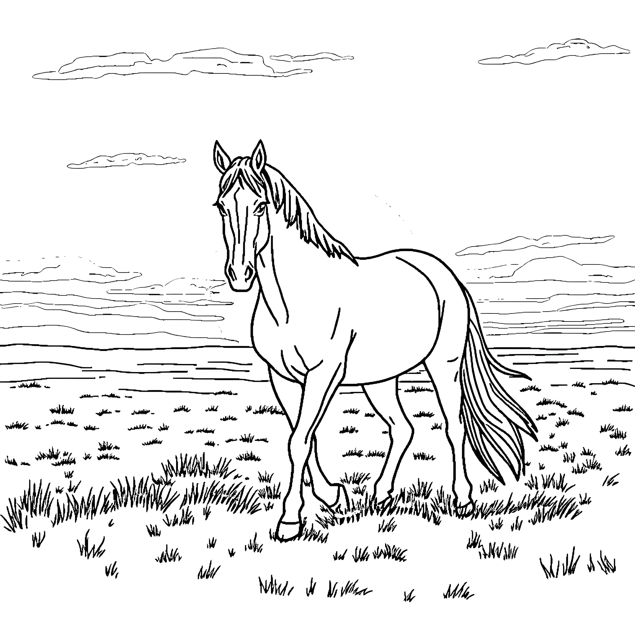 Horse standing in a grassy field Coloring Page (free black-and-white line drawing printable PDF for all, from beginners to advanced learners, including children, teens, adults, and seniors)