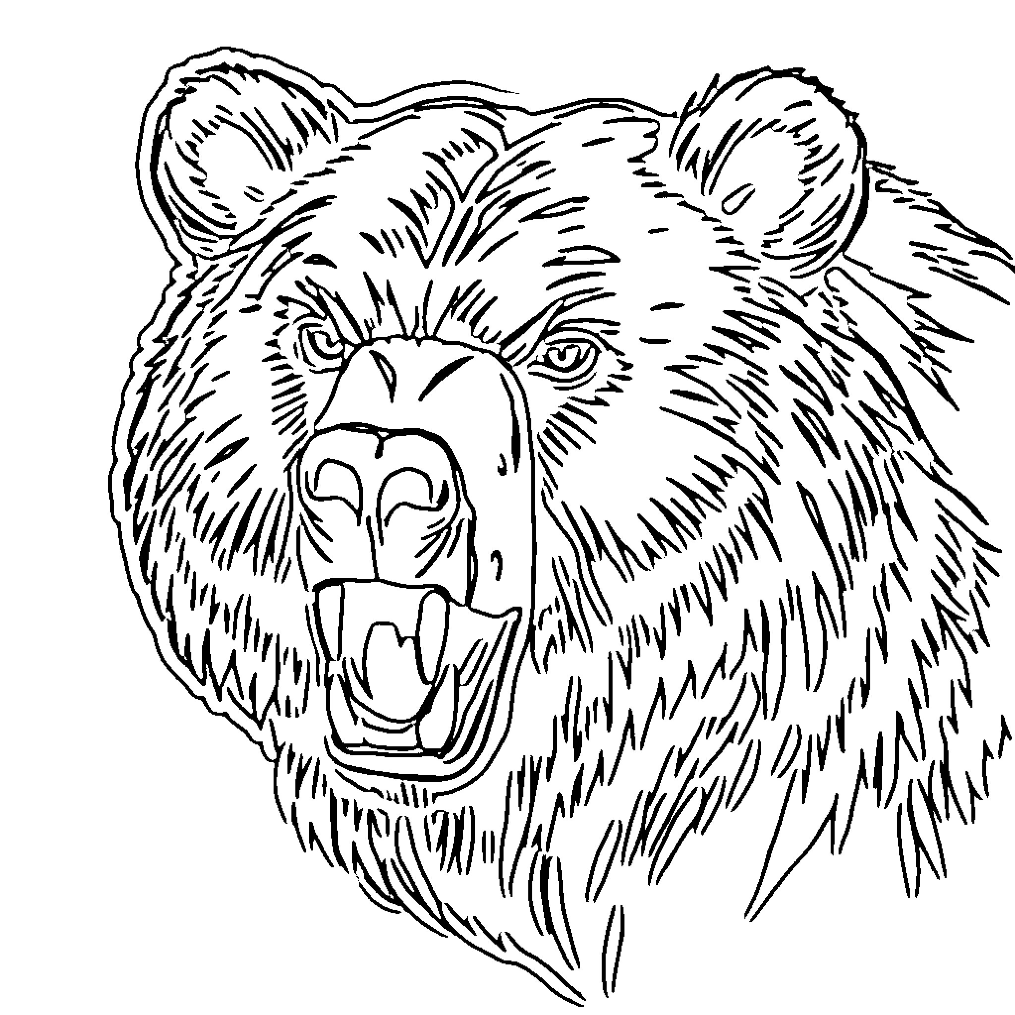 Bear growling ferociously with intense expression Coloring Page (free black-and-white line drawing printable PDF for all, from beginners to advanced learners, including children, teens, adults, and seniors)