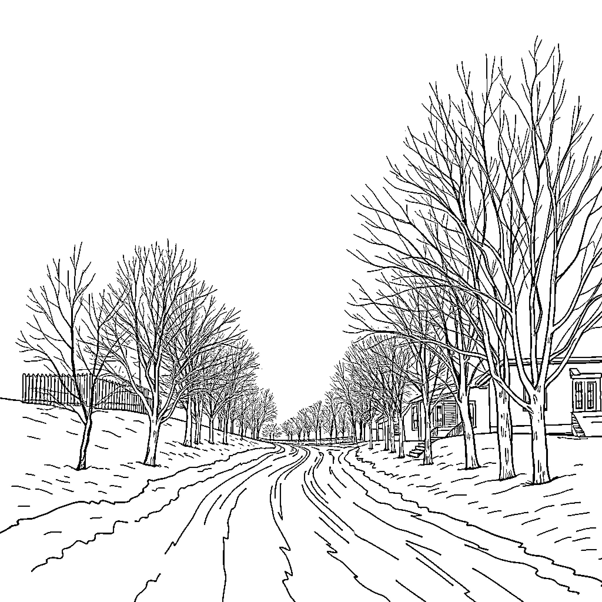 Winter landscape with bare trees lining the road Coloring Page (free black-and-white line drawing printable PDF for all, from beginners to advanced learners, including children, teens, adults, and seniors)