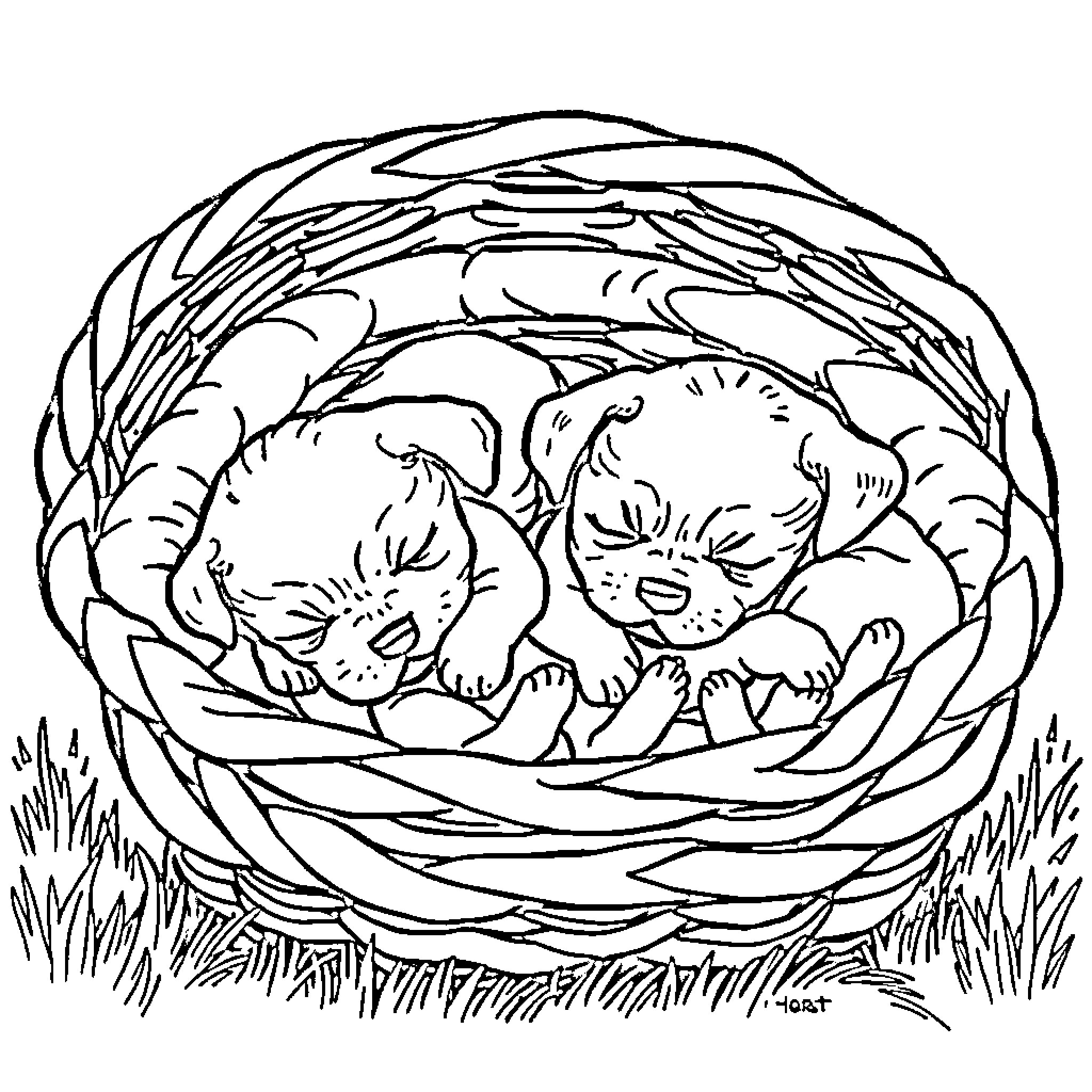 Puppy siblings snuggling in cozy nest Coloring Page (free black-and-white line drawing printable PDF for all, from beginners to advanced learners, including children, teens, adults, and seniors)