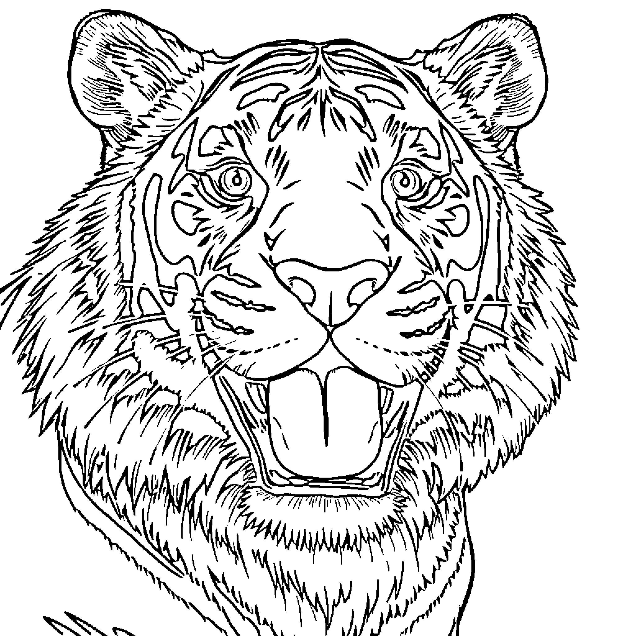 Tiger with Fierce Expression Coloring Page (free black-and-white line drawing printable PDF for all, from beginners to advanced learners, including children, teens, adults, and seniors)