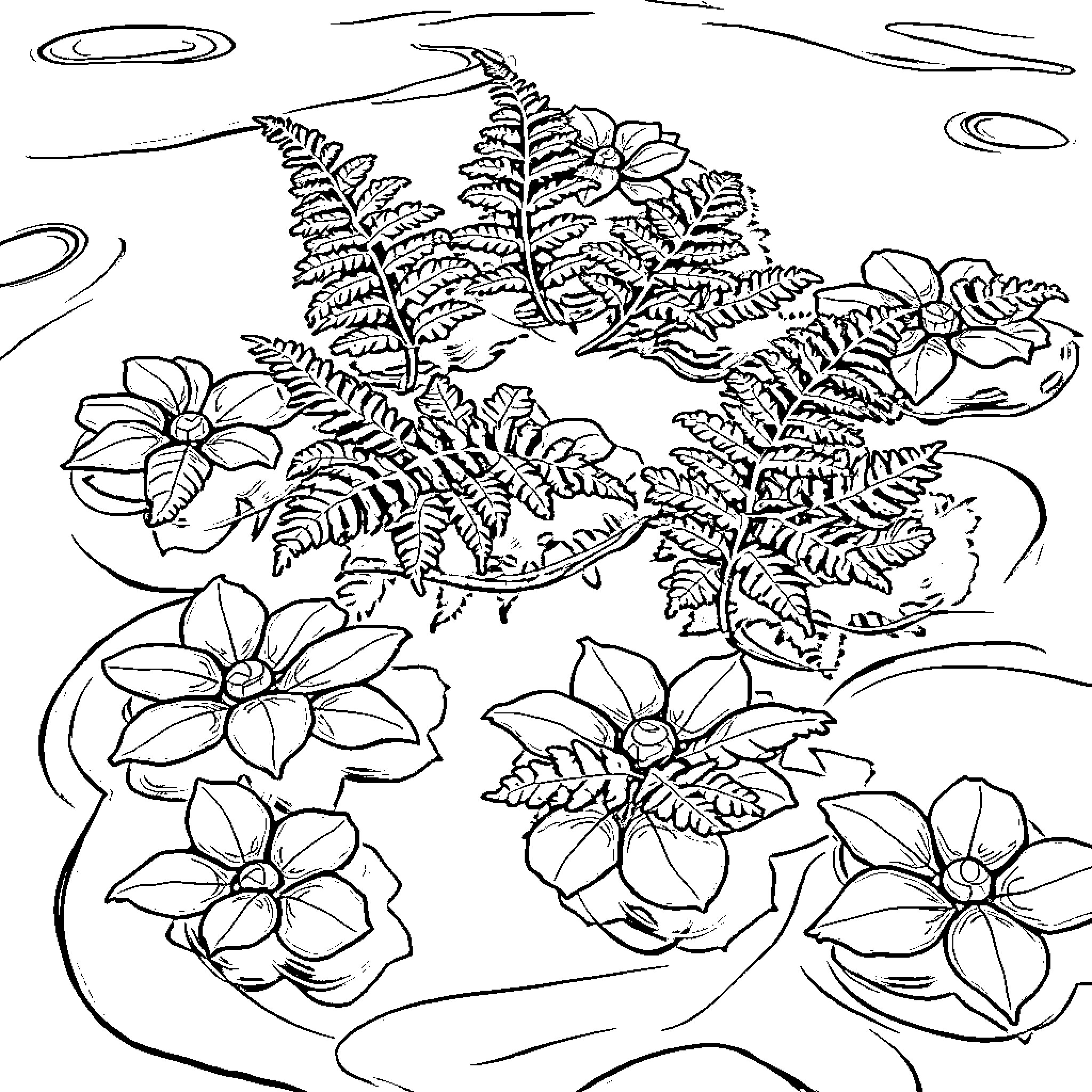 Fern and flowers in a serene landscape Coloring Page (free black-and-white line drawing printable PDF for all, from beginners to advanced learners, including children, teens, adults, and seniors)