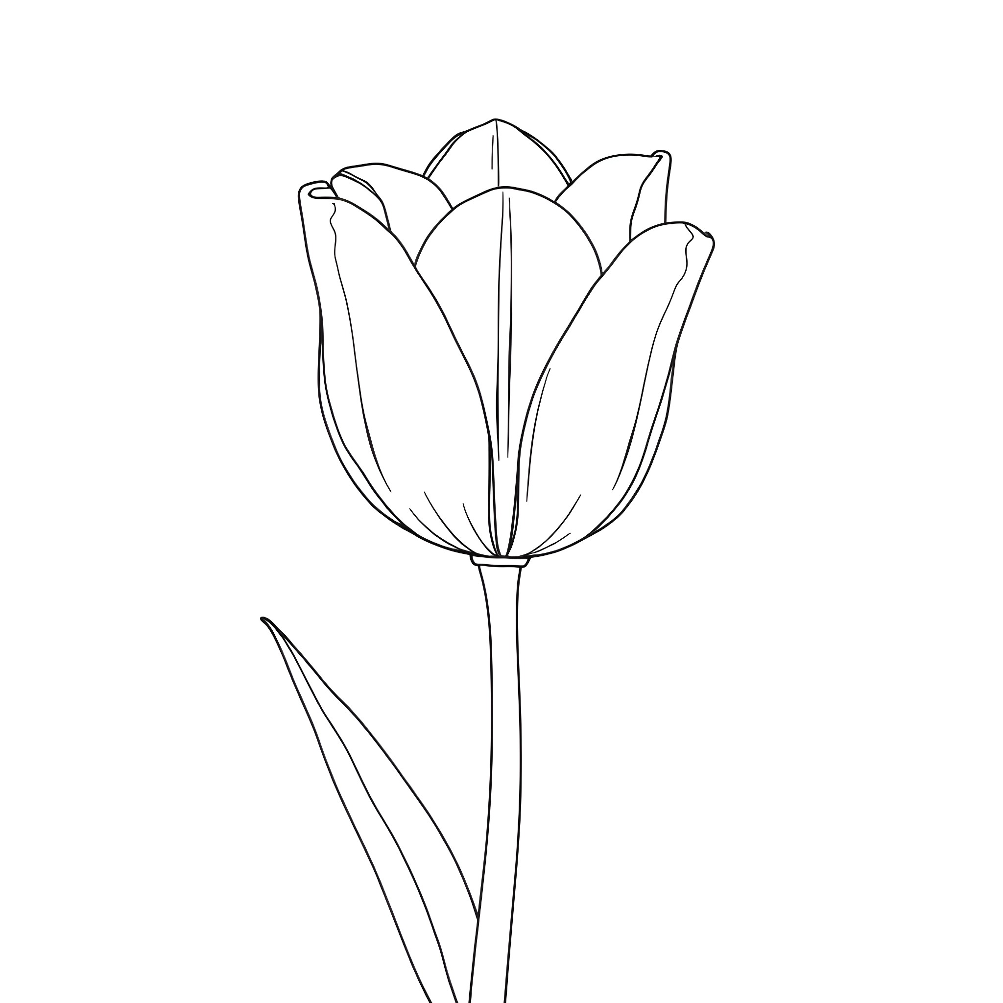 Tulip flower in line art style Coloring Page (free black-and-white line drawing printable PDF for all, from beginners to advanced learners, including children, teens, adults, and seniors)