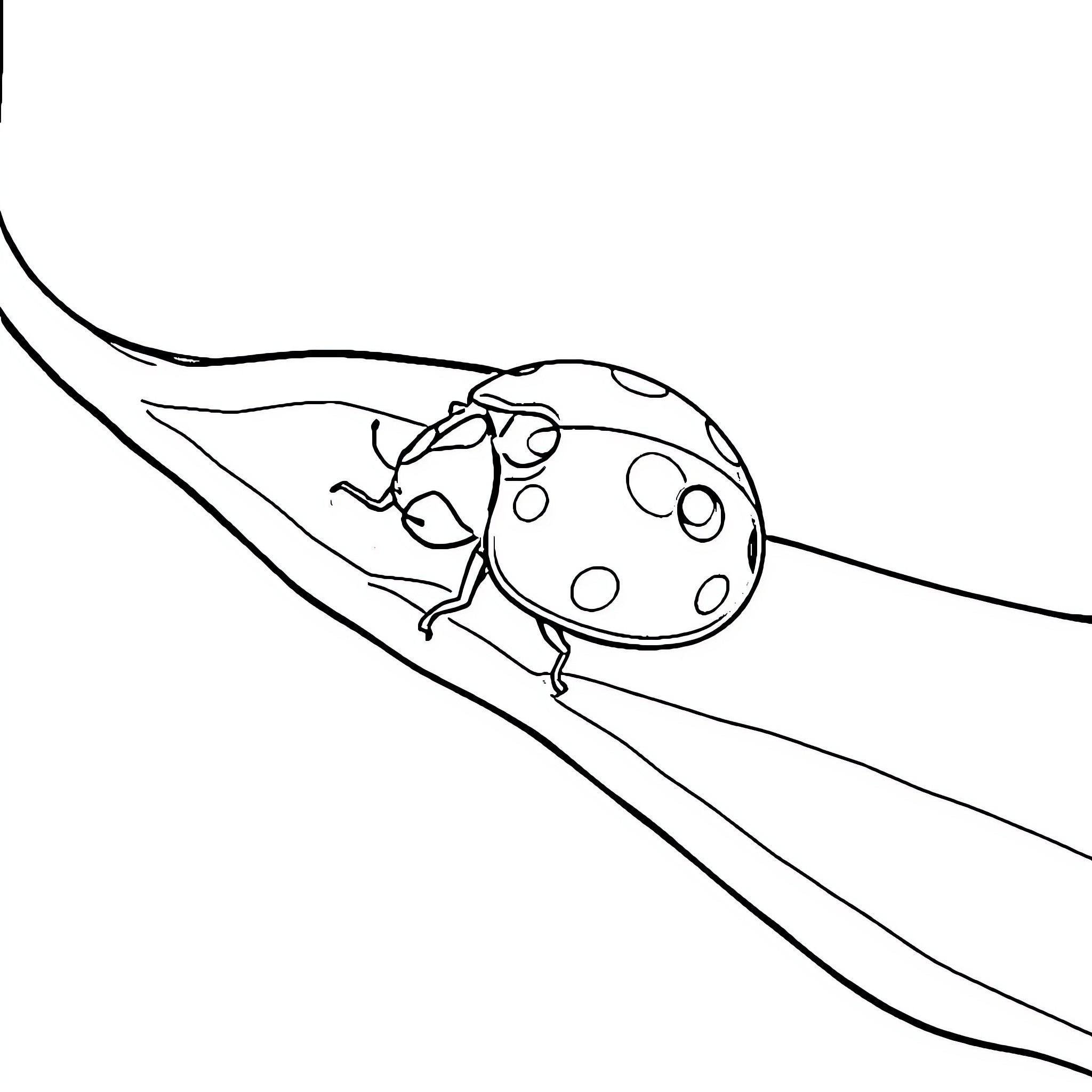 Ladybug climbing on a leaf Coloring Page (free black-and-white line drawing printable PDF for all, from beginners to advanced learners, including children, teens, adults, and seniors)